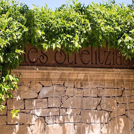 The Originals Residence, Les Strelitzias Juan-les-Pins Exterior foto